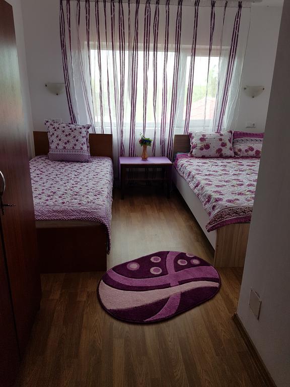 Casa Rustica Apart & Rooms Cîmpineanca Eksteriør billede