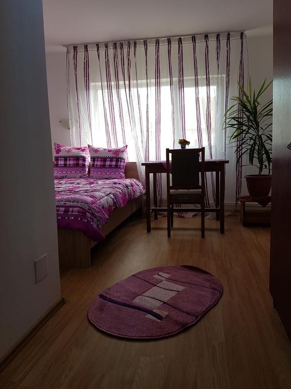 Casa Rustica Apart & Rooms Cîmpineanca Eksteriør billede