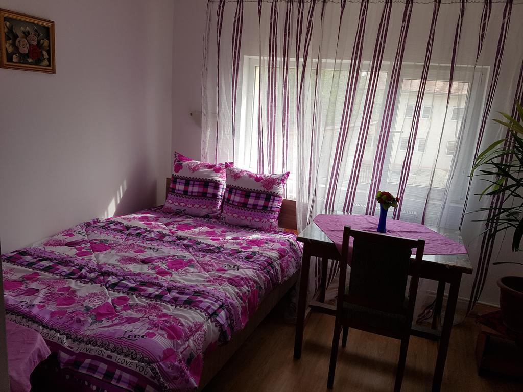 Casa Rustica Apart & Rooms Cîmpineanca Eksteriør billede